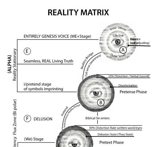 The Reality Matrix